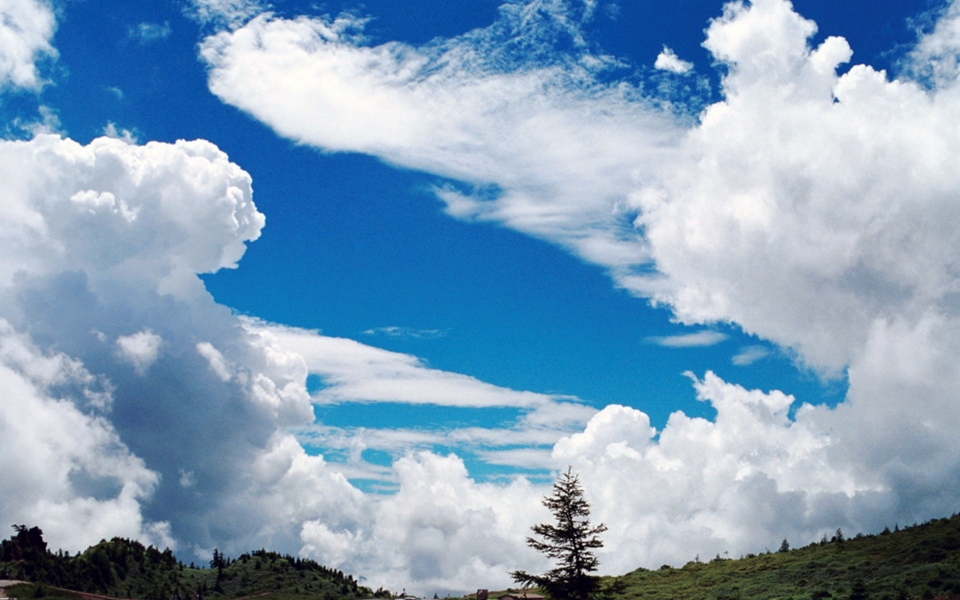 これからの取組み